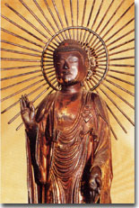 �S�񂲖{���ʐ^